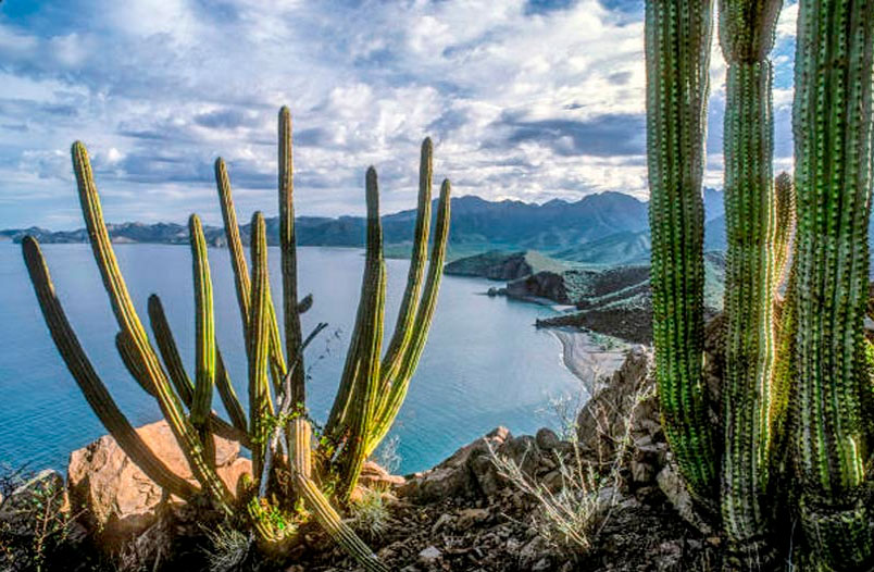 Bahia de loreto