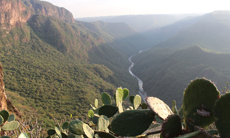Barrancas de los Ríos Santiago y Verde, Jalisco