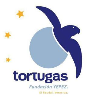 Fundación Yepez A.C.