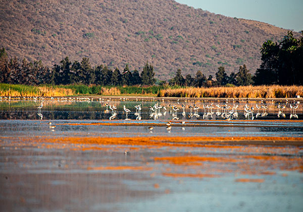 laguna de Atotonilco