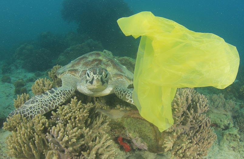 ¡Una bolsa de plástico y envolturas de dulces quedaron registrados en los videos recopilados, como testigos del alcance que la contaminación la tenido en el planeta!