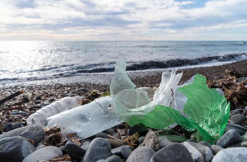 Últimamente han surgido alternativas para modificar los hábitos de consumo y evitar el uso de plásticos.