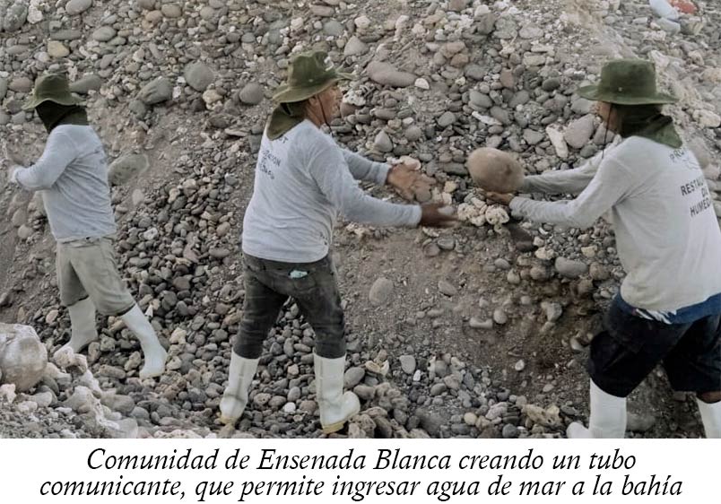 Comunidad de Ensenada Blanca creando un tubo comunicante