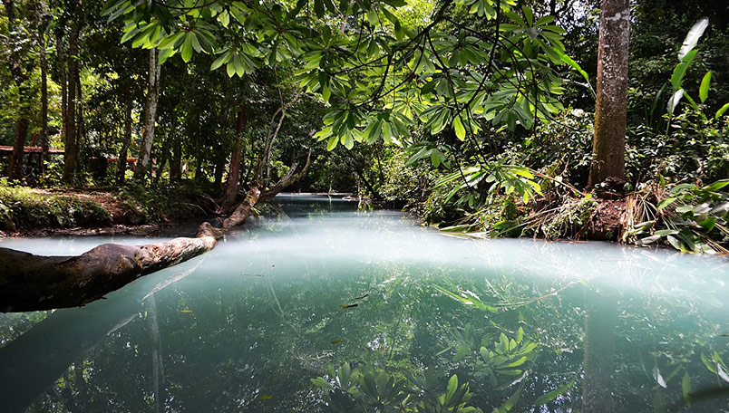 Reserva de bosque tropical de Yu-Balcah, Tabasco