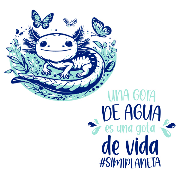 Ganador tercera edición